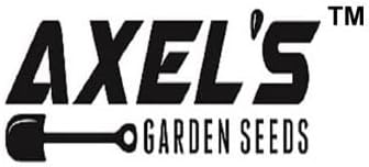 Small Sugar Pumpkin Seeds for Planting - Non-GMO Heirloom Packet with Instructions to Plant a Home Vegetable Garden - Great Gardening Gift - 25 Seeds Per Pack (1 Packet)