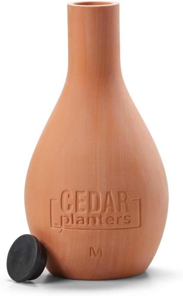 EARTH ELEVATED Self-Watering Clay Olla Pot for Raised Garden Beds and Planters (Medium)