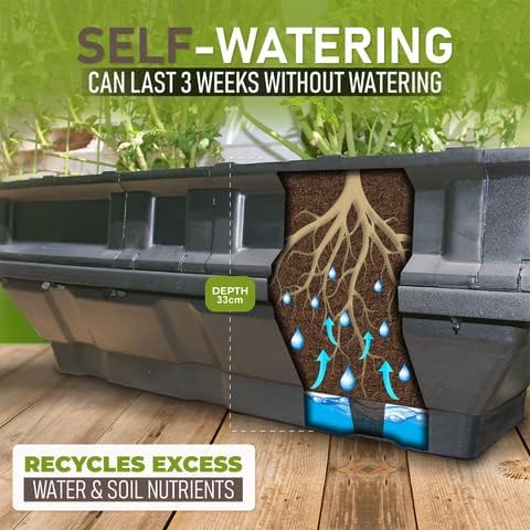 Vegepod - Raised Garden Bed - Self Watering Container Garden Kit with Protective Cover, Easily Elevated to Waist Height, 5 Years Warranty (Medium)