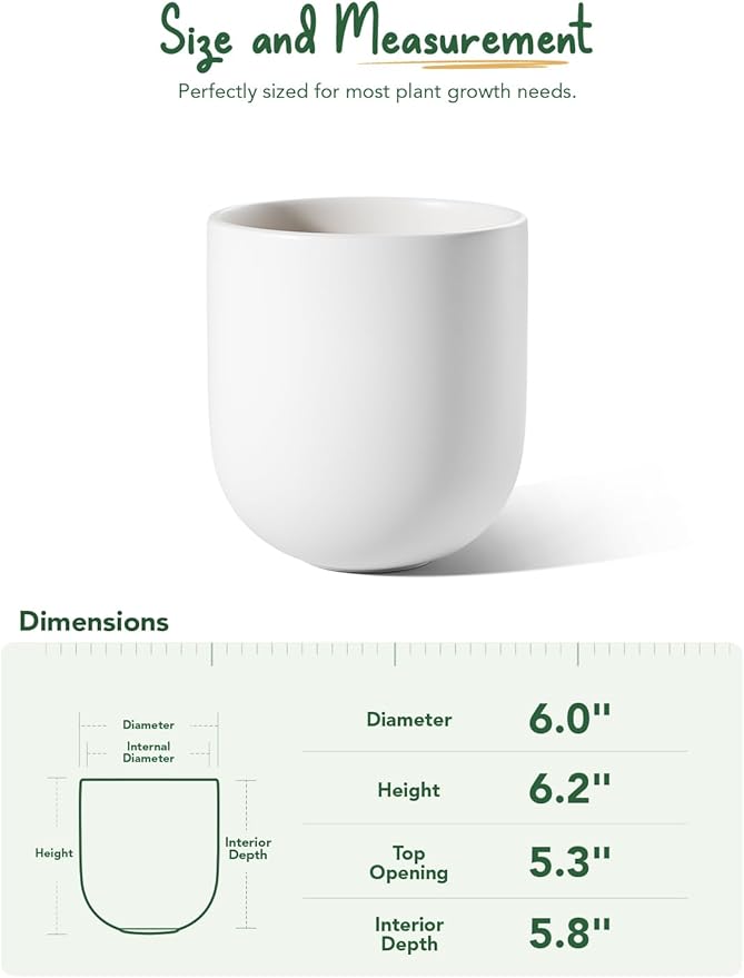 LE TAUCI 6 Inch Plant Pot, Ceramic Pot with Drainage Hole & Rubber Plug, Indoor Planter for Herbs & Small Houseplants, Cylinder Planter for Home Office, White