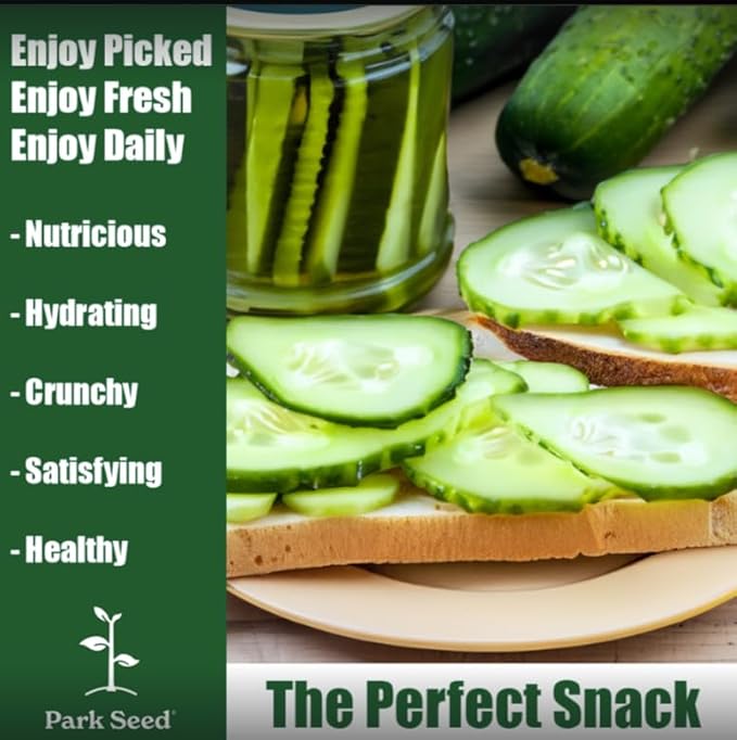 Park Seed Sir Crunch a Lot Hybrid Cucumber Seeds – Planting Cucumbers, Pack of 100, 60 Days to Maturity, Non-GMO, Long Vegetables, Bitter-Free Fruit, Disease-Resistant, Ideal for Garden & Containers