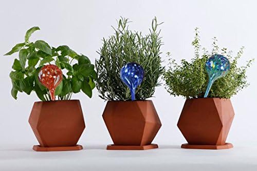 5Star Aqua Plant Watering Globes - Automatic Watering Ball Bulbs - Self Watering Plant Glass Bulbs System (16, Large)