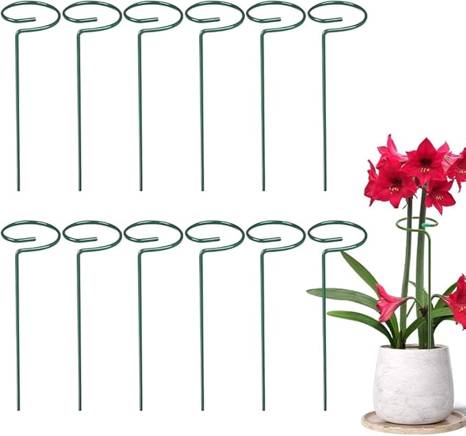 4/8/12 Pack Plant Stakes, 16/24/36 Inch Plant Support Stakes, 2025 New Plant Sticks Support, Flower Stakes for Plants Peony, Tomato Seedling, Marigold, Amaryllis, Sapling, Coreopsis (16 Inch-12 Pack)