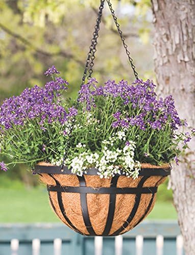 Panacea Products Flat Iron Series 14-Inch Hanging Basket, Black