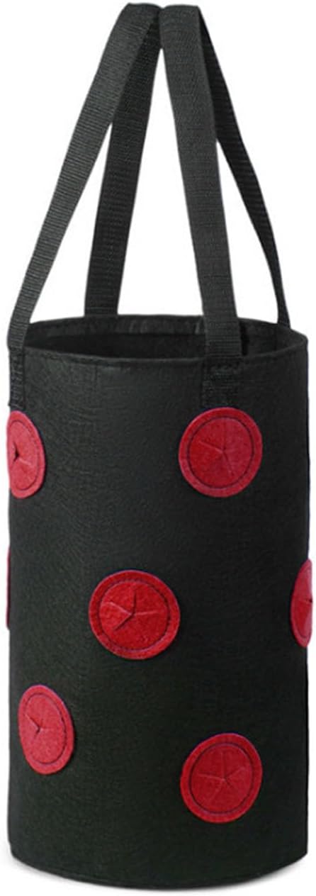 2 Pcs Hanging Planter Bags 9.84 * 11.81 Inch Non Woven Grow Bags 3 Gallons with 12 Holes Vertical Mounted Planting Bag Indoor Outdoor for Flower Strawberry Vegetable Tomato Potato (Black-Red)