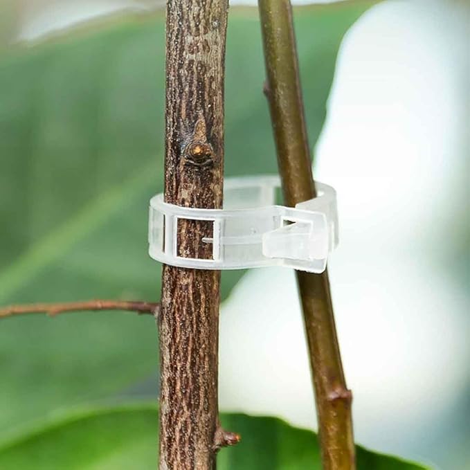 BLUE world Plant Support Clips, 50 Pieces, Plastic Garden Clips, Plant Tie Clips for Tomatoes, Cucumbers, Squash Vines, 1 Inch Inner Diameter (100, White)