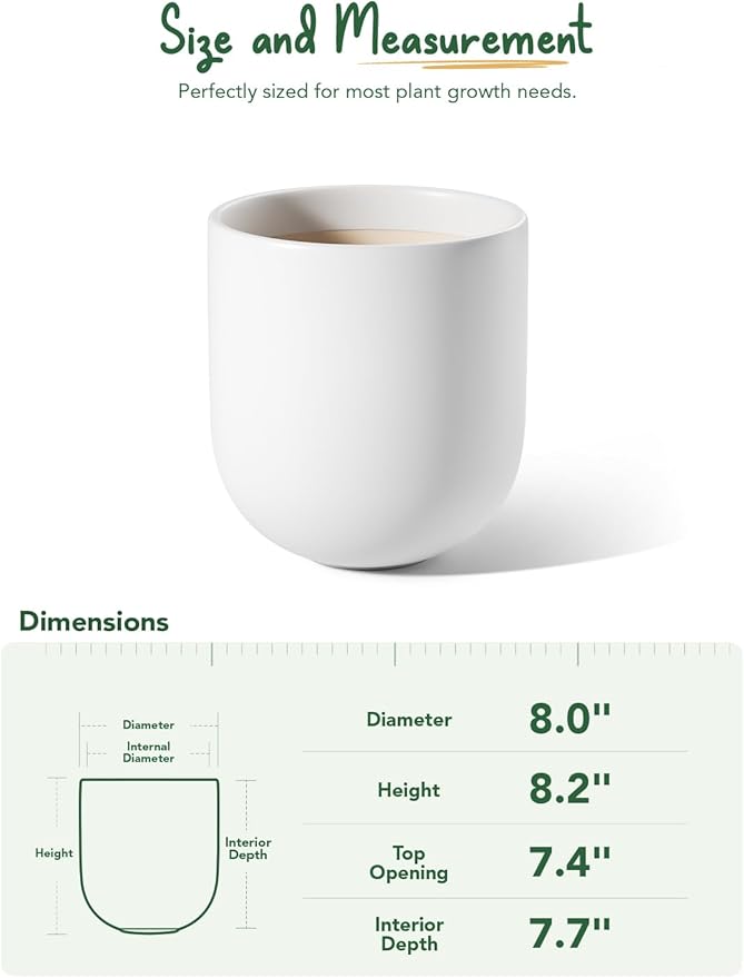 LE TAUCI 8 Inch Plant Pot, Ceramic Pot with Drainage Hole & Rubber Plug, Indoor Planter for Herbs & Small Houseplants, Cylinder Planter for Home Office, White