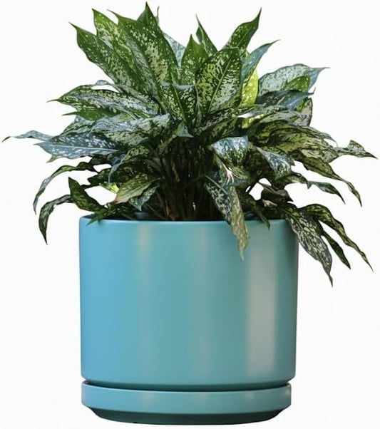 PLANTATOREM Ceramic 10 Inch Mid Modern Planter Pot with Drainage Hole and Saucer, Indoor Cylinder Round Flower Pot, Perfect for Planting Succulents, Herbs, Flowers, House Plants, Aqua Marine Satin