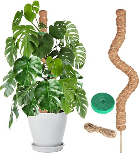 Craft911 Moss Pole Monstera Plant Support – 48” Bendable Moss Pole Monstera Plant Support, Plant Stakes for Indoor Plants, Tall Plant Sticks Support for Climbing Plants