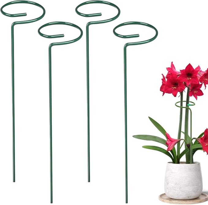 4/8/12 Pack Plant Stakes, 16/24/36 Inch Plant Support Stakes, Plant Sticks Support, Flower Stakes for Plants Peony, Tomato Seedling, Marigold, Amaryllis, Sapling, Coreopsis (24 Inch-4 Pack)