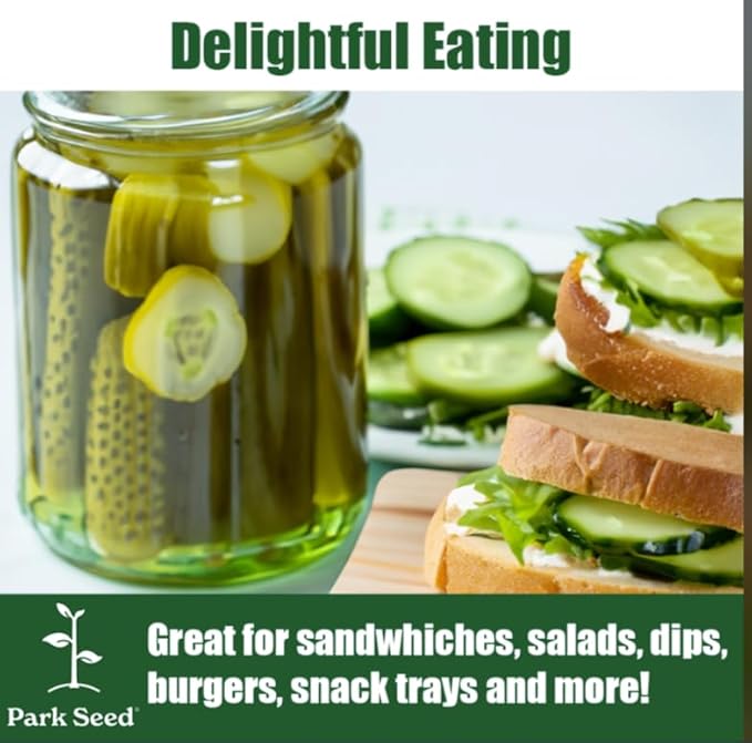 Park Seed Sir Crunch a Lot Hybrid Cucumber Seeds – Planting Cucumbers, Pack of 100, 60 Days to Maturity, Non-GMO, Long Vegetables, Bitter-Free Fruit, Disease-Resistant, Ideal for Garden & Containers