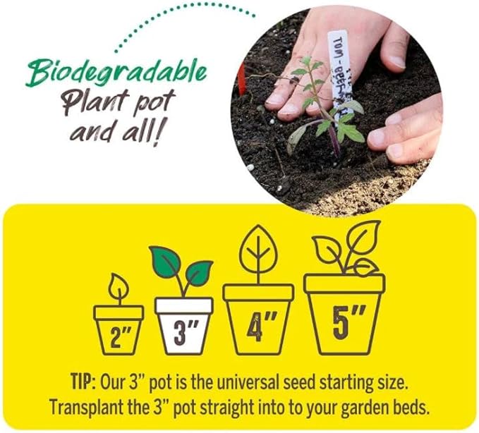 Jiffy Plant Nursery Pots - Organic Seed Starting, Biodegradable, Drainage Hole - 3 in - Peat