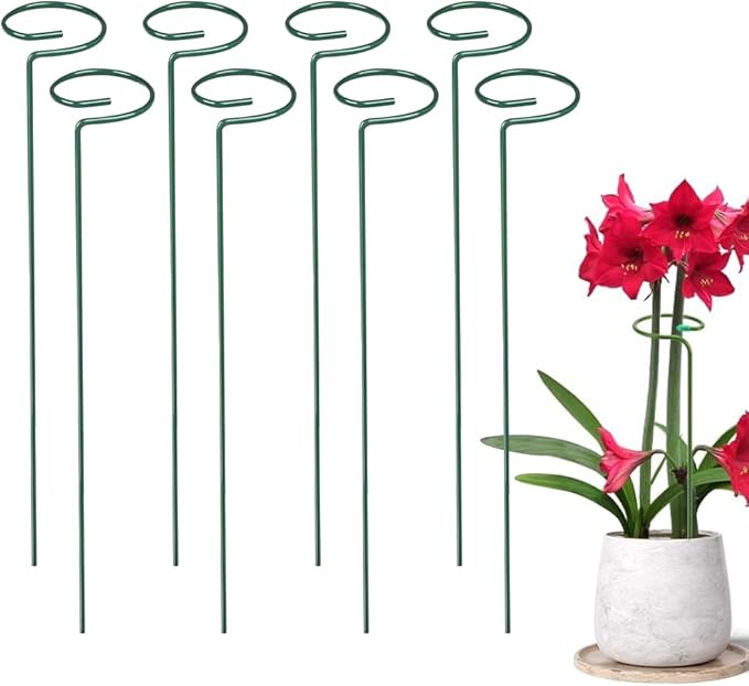 4/8/12 Pack Plant Stakes, 16/24/36 Inch Plant Support Stakes, Plant Sticks Support, Flower Stakes for Plants Peony, Tomato Seedling, Marigold, Amaryllis, Sapling, Coreopsis (36 Inch-8 Pack)