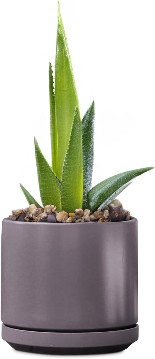 PLANTATOREM Ceramic 14 Inch Mid Modern Planter Pot with Drainage Hole and Saucer, Indoor Cylinder Round Flower Pot, Perfect for Planting Succulents, Herbs, Flowers, House Plants, Pastel Taupe