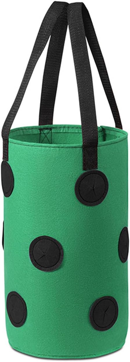 2 Pcs Hanging Planter Bags 9.84*11.81 Inch Non Woven Grow Bags 3 Gallons with 12 Holes Vertical Mounted Planting Bag Indoor Outdoor for Flower Strawberry Vegetable Tomato Potato (Green-Black)
