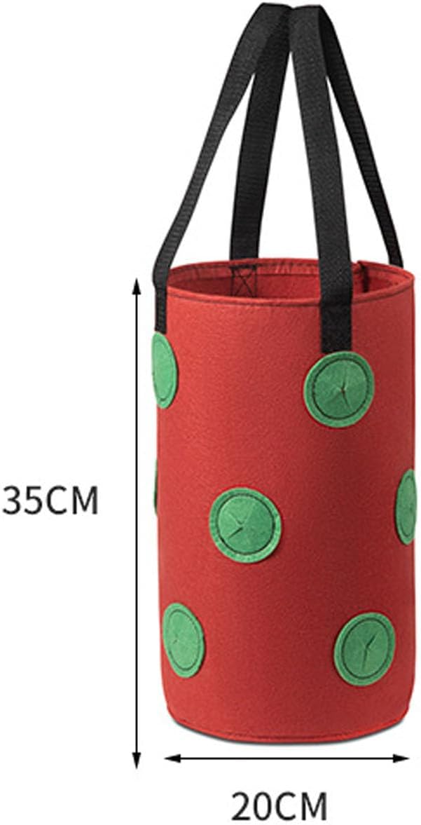 2 Pcs Hanging Planter Bags 9.84 * 11.81 Inch Non Woven Grow Bags 3 Gallons with 12 Holes Vertical Mounted Planting Bag Indoor Outdoor for Flower Strawberry Vegetable Tomato Potato (Red-Green)