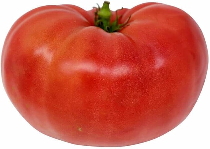 Watermelon Beefsteak Tomato Seeds - Large Tomatos - Delicious Tomato for Home Growing