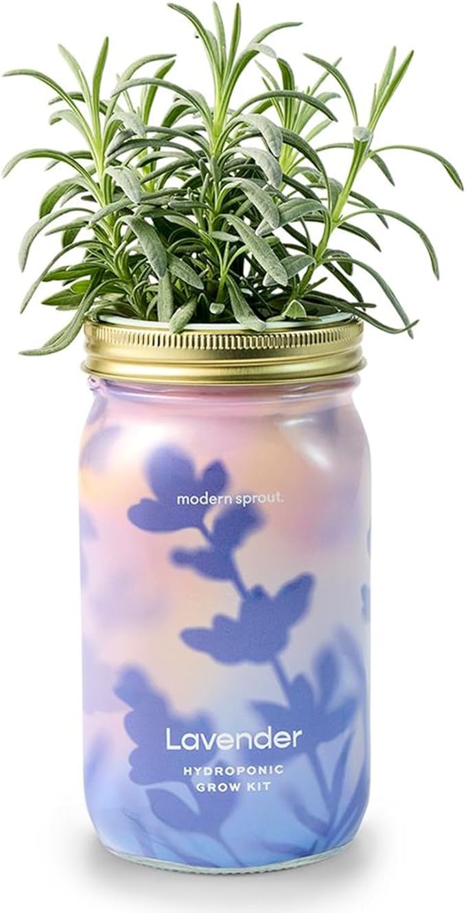 Modern Sprout Mason Garden Jar - Self-Watering Hydroponics Growing System Kit with Organic Herb Seeds - Jar Planter for Indoor Herb Garden - Seed Starter Kit - Home Decor & Gifting - Lavender