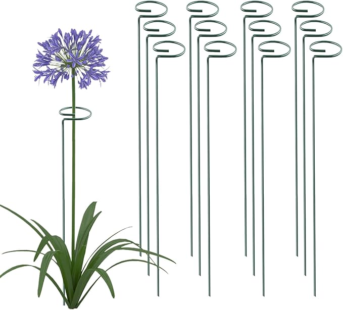 Thealyn 36 Inch 12 Packs Plant Support Stakes,Garden Single stemmed Plant Support Hoops, Plant Prop, for Flowers,Orchid, Tomatoes Peony Lily Rose (36 inch)