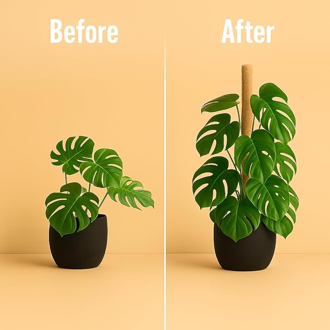 Craft911 Moss Pole Monstera Plant Support – 2 Pack 28” Bendable Moss Pole Monstera Plant Support, Plant Stakes for Indoor Plants, Tall Plant Sticks Support for Climbing Plants