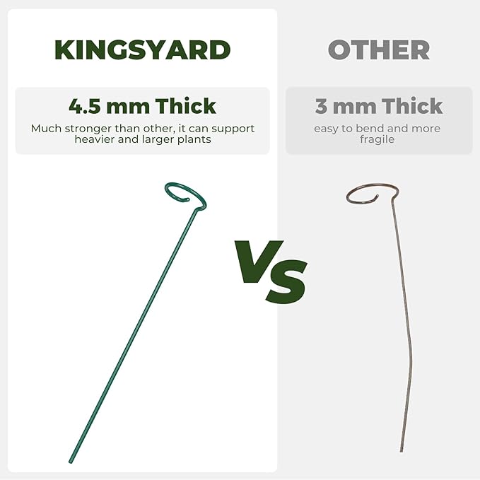 Kingsyard 16 Inch Plant Support Stakes - 10 Pack, 4.5mm Thick All Metal Garden Plant Stakes for Outdoor Plants Single Stem Flowers Dahlia Lily Rose Peony Hydrangea Tomatoes Sunflower Gladiolus