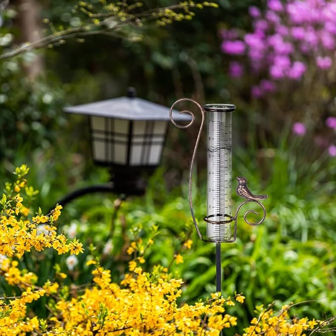 Rain Gauge Outdoor,7" Glass Rain Gauge with Metal Stake, Decorative Bird Rain Gauge for Yard Garden Lawn Decor