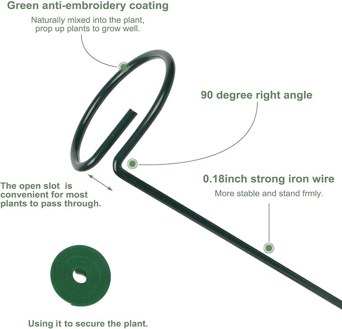 2 Pack Plant Support Sticks, 3 Sizes (12 or 24 or 36 inch) Garden Plant Stake, Plant Support Rings for Indoor Outdoor with Plants Ties, Plants Stakes for Flowers, Climbing Plants, Tomatoes