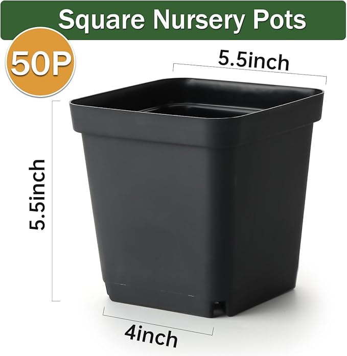 BTPLASTIK Square Nursery Pots 5.5 Inch, 50Pcs Plastic Sturdy Reusable Seedling Pots with Drainage Holes, Garden Flower Planters for Indoor/Outdoor, Transplanting, Succulents, Cuttings, Black