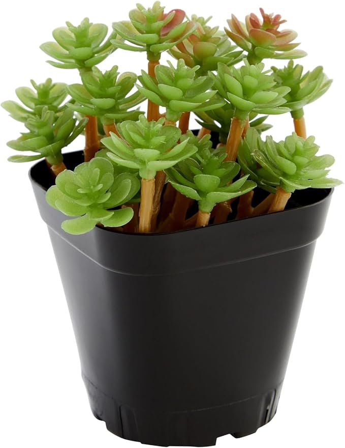 Juvale Square Nursery Pots - Seedling Planters with Drainage Holes - Versatile Pots for Plants & Succulents - Space-Saving Stackable Planters - 2.6 in, Pack of 150, Black