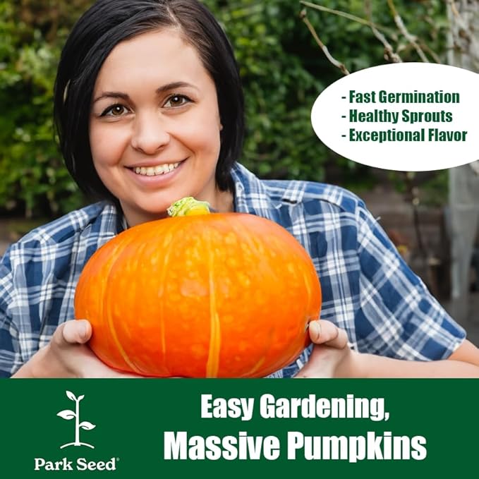 Park Seed Howden Pumpkin Seeds – Non-GMO, Classic Deep Orange Pumpkins for Carving & Display, High-Yielding Plants, 20–30 lb Fruits, Ribbed Halloween Favorite, Pack of 25