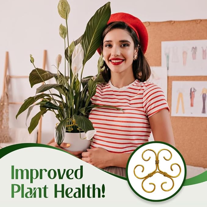 Monstera Plant Support Durable Stabilizer Grapple Holder,Plant Accessories Stable Plant Stem Support Stakes for Outdoor & Indoor Growing Climbing Plant Care Thriving Growth (6, Flower)