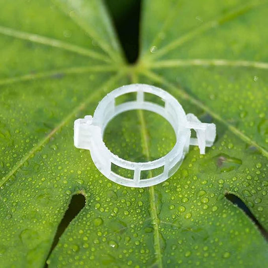BLUE world Plant Support Clips, 50 Pieces, Plastic Garden Clips, Plant Tie Clips for Tomatoes, Cucumbers, Squash Vines, 1 Inch Inner Diameter (200, White)