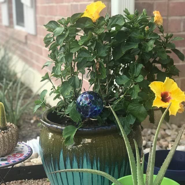 5Star Aqua Plant Watering Globes - Automatic Watering Ball Bulbs - Self Watering Plant Glass Bulbs System (16, Large)