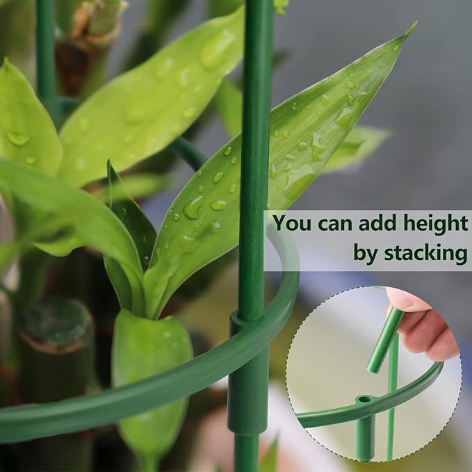 kulusion 36 Packs Plant Support Stake, Half Round Stackable 3 Tier Garden Flower Support, Plant Stakes for Indoor Outdoor Plants Tomato,Monstera, Peony, Hydrangea, Climbing Plants