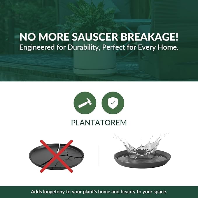PLANTATOREM Ceramic 10 Inch Mid Modern Planter Pot with Drainage Hole and Saucer, Indoor Cylinder Round Flower Pot, Perfect for Planting Succulents, Herbs, Flowers, House Plants, Jet Grey