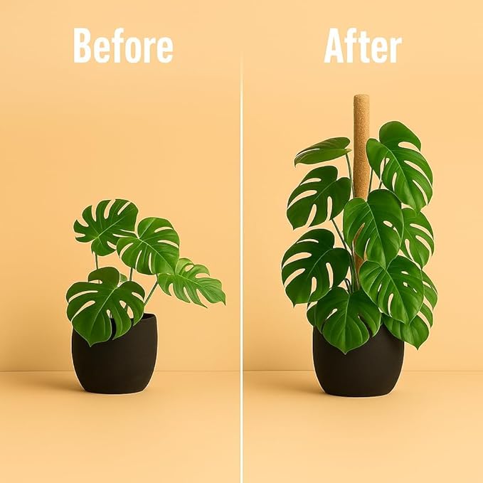 Craft911 Moss Pole Monstera Plant Support – 48” Bendable Moss Pole Monstera Plant Support, Plant Stakes for Indoor Plants, Tall Plant Sticks Support for Climbing Plants