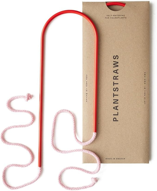 Beautiful Self-Watering Wick System for Effortless Plant Care, Automatic Drip Irrigation, Sustainable & Stylish Scandinavian Design, Ideal for House Plants (M, Red Scarlett)