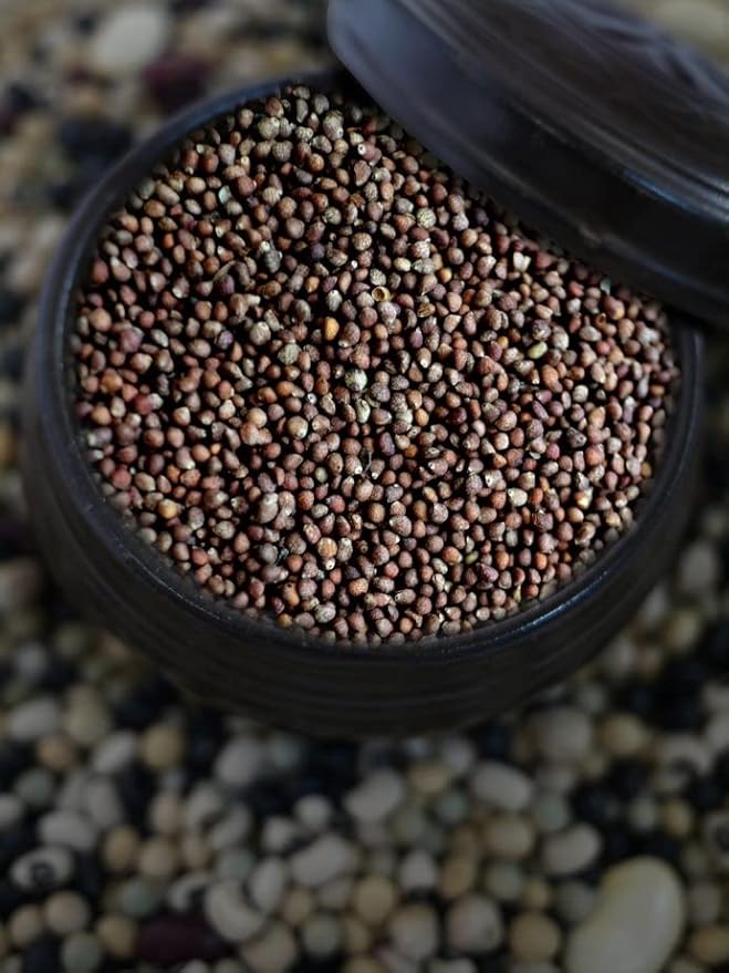 McCabe Organic Raw Perilla Seeds -USDA and CCOF Certified Organic | Packed in USA | 1.5 Lbs Pack of 3