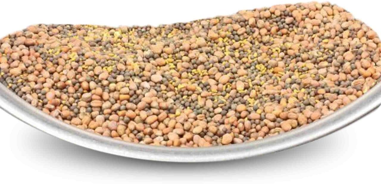 Todd's Seeds Sprouting Seeds Radish Mix, Daikon Radish and Red Rose Radish, Non-GMO, Chemical Free, High Germination (1/4 Pound)