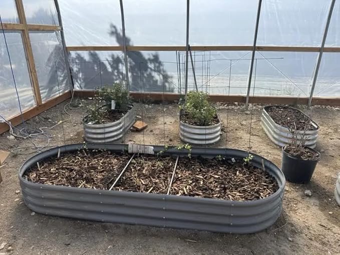 8 Pack 8x3x1FT Galvanized Raised Garden Bed Kit Oval Metal Ground Planter Box Outdoor Bottomless Planter Raised Beds for Vegetables Flowers Herbs Fruits, Gray