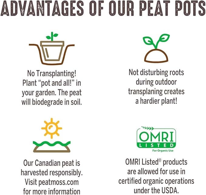 Jiffy Plant Nursery Pots - Organic Seed Starting, Biodegradable, Drainage Hole - 3 in - Peat