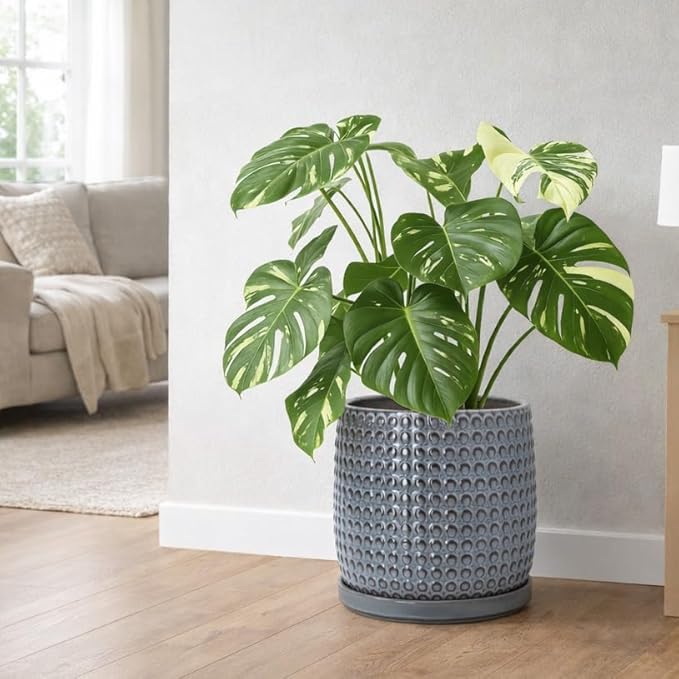 D'vine Dev 10 Inch Ceramic Beaded Stoneware Planter Pot - Flower Pot with Drainage Holes and Saucers for Indoor Succulent Plants or Flowers, Graphite Blue, 27-C-P-9