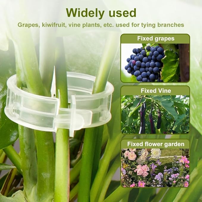 Plant Support Clips Reusable Garden Clips, Secured Plastic Plant Clips, Tomato Support Clips for String Trellis for Climbing Plants Outdoor Indoor Plant Flowers Stem Vine Fixing Clips (100, Green)