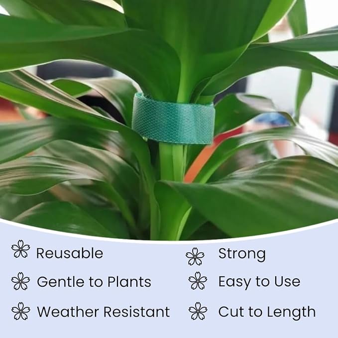 Reusable Plant Ties for Climbing Plants Hook and Loop Green Nylon Plant Straps Tape Double Sided Garden Tie Strap Reusable Adjustable Gentle Support for Vines, Trellis, Tomato (1/2 Inch x 16.4 ft)