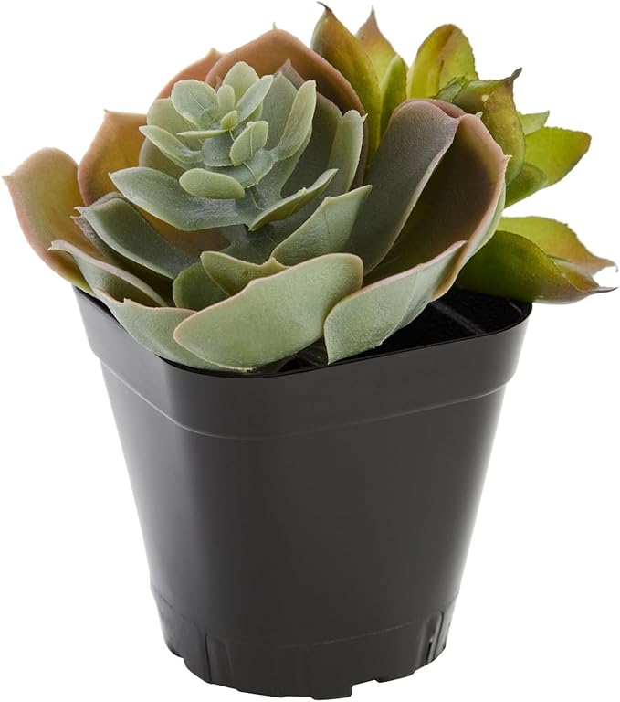 Juvale Square Nursery Pots - Seedling Planters with Drainage Holes - Versatile Pots for Plants & Succulents - Space-Saving Stackable Planters - 2.6 in, Pack of 150, Black