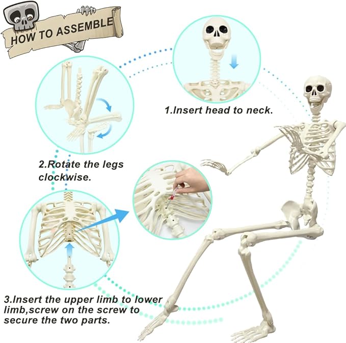 UMEELR 5.4FT Halloween Skeletons, Full Size Skeleton with Skeleton Dog, Plastic Life Size Human Skeletons for Halloween Graveyard Haunted House Party Decoration