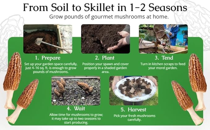 Morel Habitat Kit® & Morel Sticker. Morel Habitat Kit ® Compatible with Any Soil Type Across The U.S., Outdoor Garden & Backyard Cultivation Set with Full Instructions - Made in The USA