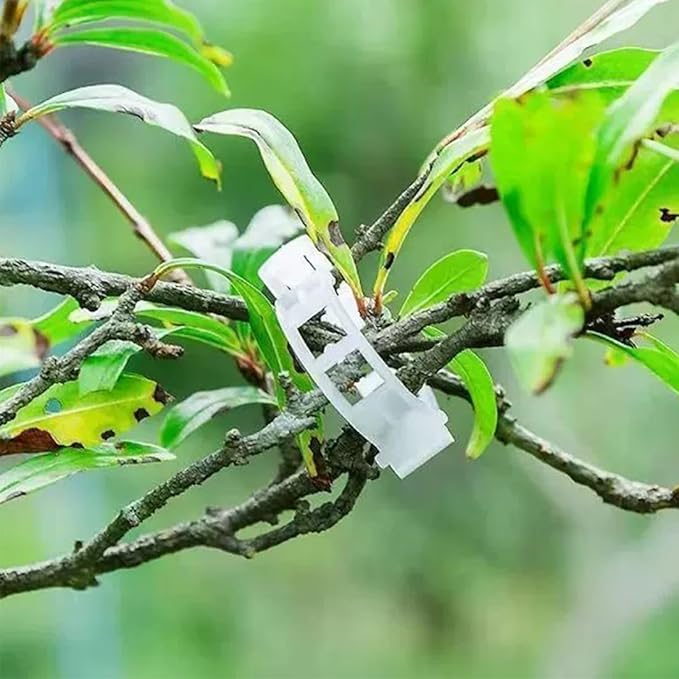 BLUE world Plant Support Clips, 50 Pieces, Plastic Garden Clips, Plant Tie Clips for Tomatoes, Cucumbers, Squash Vines, 1 Inch Inner Diameter (100, White)