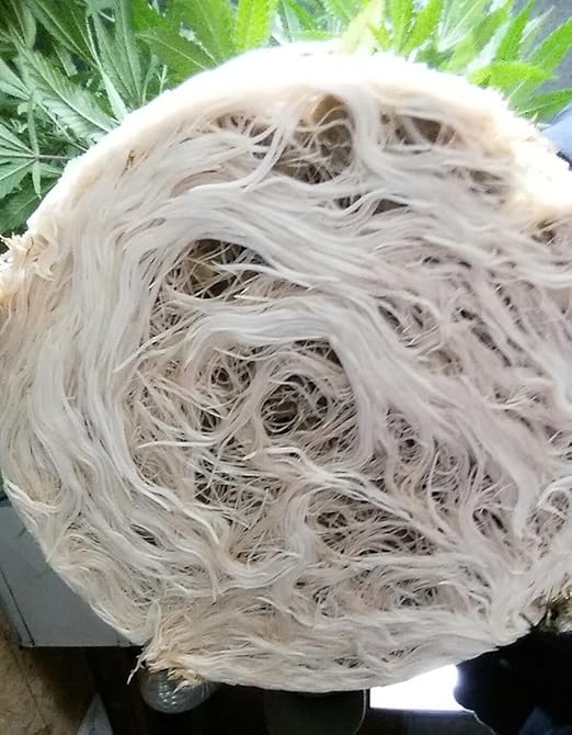 Real Growers Recharge - Mycorrhizae Instant Compost Tea/Soil Microbes for Plant Growth - 5lb