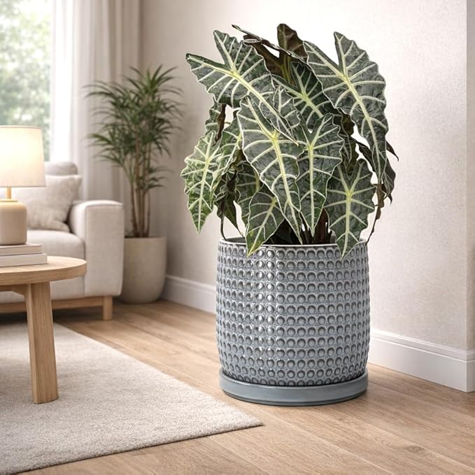 D'vine Dev 10 Inch Ceramic Beaded Stoneware Planter Pot - Flower Pot with Drainage Holes and Saucers for Indoor Succulent Plants or Flowers, Graphite Blue, 27-C-P-9